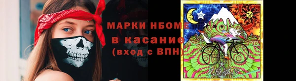 шишки Аркадак