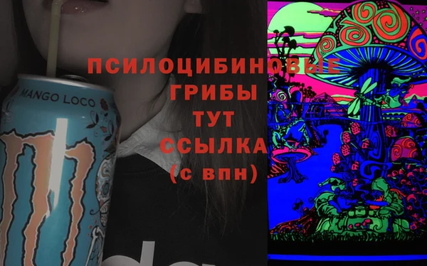 шишки Аркадак