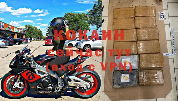 шишки Аркадак