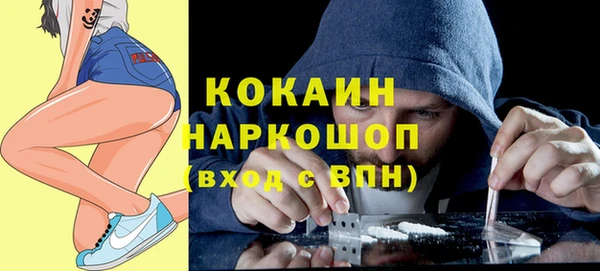 шишки Аркадак