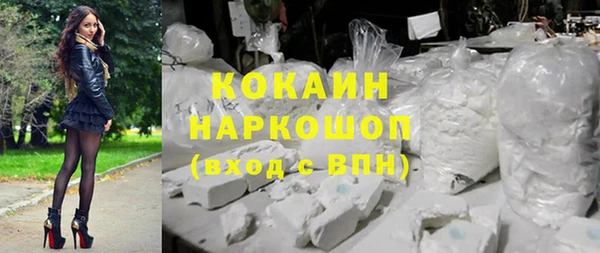 шишки Аркадак