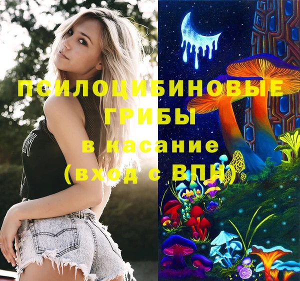 шишки Аркадак